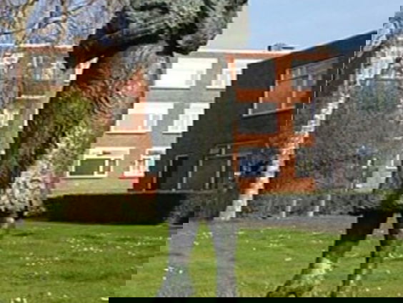 De buitenkunstverkiezing: Regio Noord