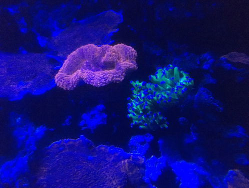 Groetjes uit...Frankrijk