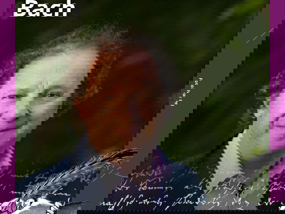 Brieven aan Bach: Brenno de Winter