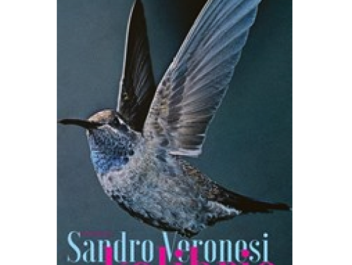 Opium was erbij! Boek: De kolibrie van Sandro Veronesi