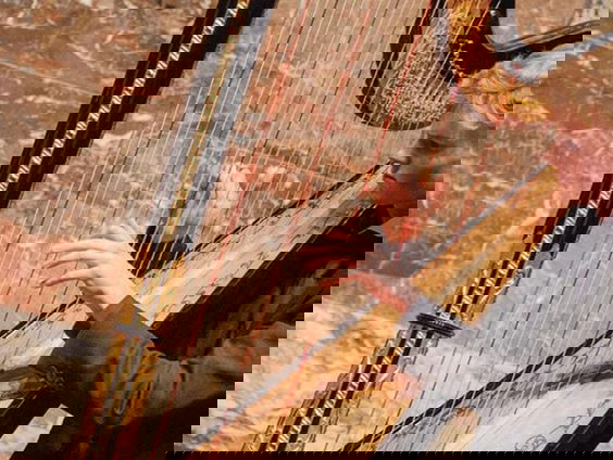 Harpist Joost Willemze speelt live in Earbites