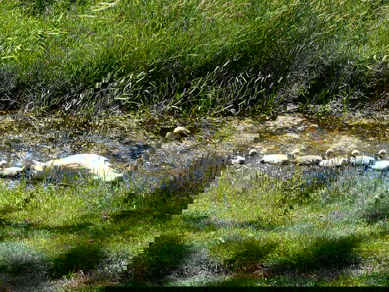 Kettingreactie 22 november 2021