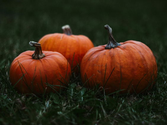 Lekkere Track: Celia Swart - Underwater I