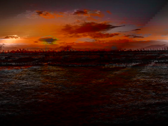 Voor De Dag Aubade #11