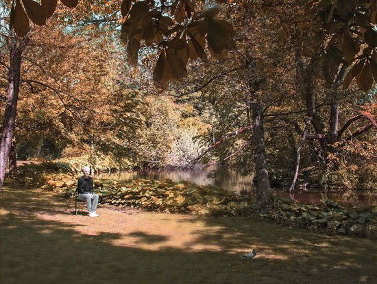 Opium was erbij! Spinvis '7.6.9.6'