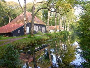 De favoriete filmmuziek van programmeur Paul Hegeman!