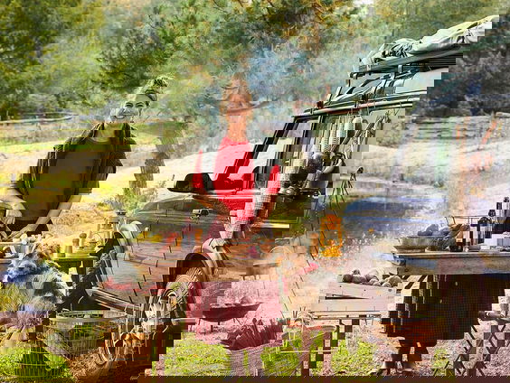 Het gesprek - Yvette van Boven