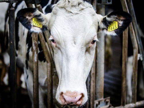 7:15 Terugblik op de Week