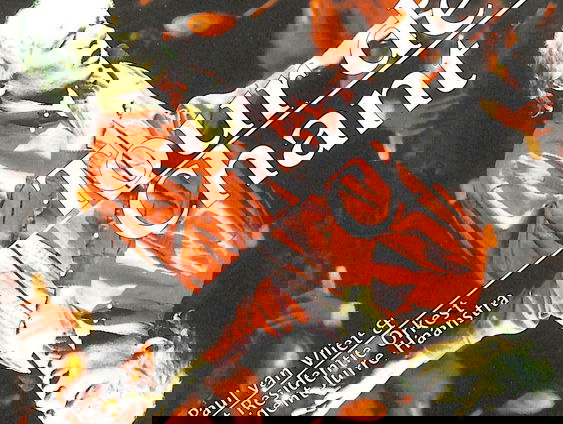 4FM #99: Paul van Vliet denkt aan Vlaanderen