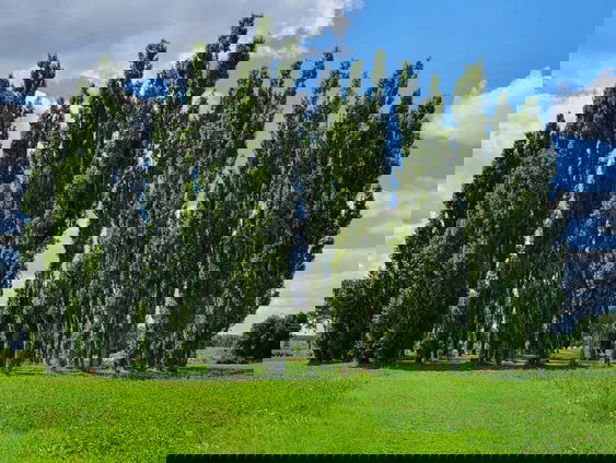 Kunst van Marinus Boezem