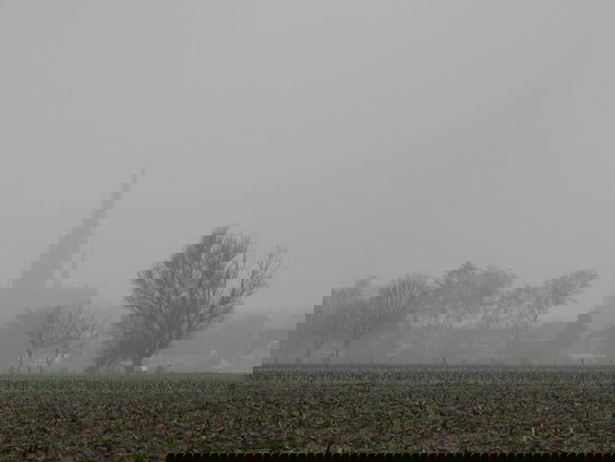 Gedicht: Winterlandschap, van Ad Zuiderent