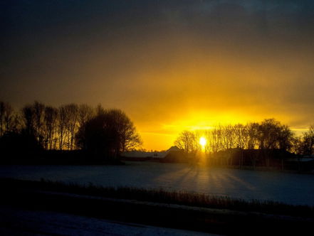 19:05 Gedicht: Bomen uit de trein gezien, van Guillaume van der Graft