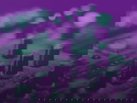 Jongeren moeten hun stem laten horen!