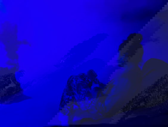 Reporter Camille neemt jou mee tijdens de indoor-experience Amaze in Amsterdam!