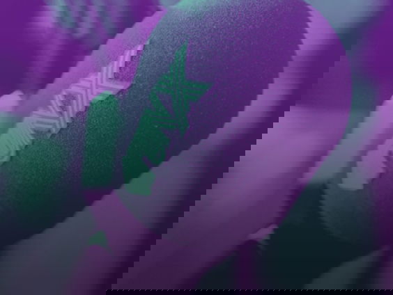 Shady probeert zijn familie uit Gaza te halen