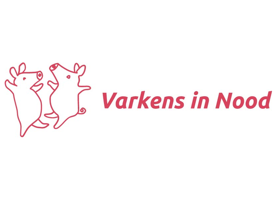 Stichting Varkens in Nood vraagt om actie in nieuwe reclamespot!