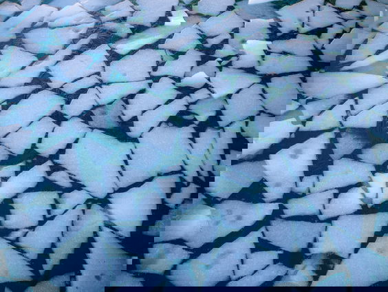 Hoe zit het met Wim Hof die aangeklaagd wordt voor $67 miljoen?