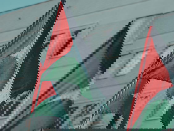 Annabel werd geadopteerd uit Palestina en zamelt nu geld in: "Ik huil elke dag"