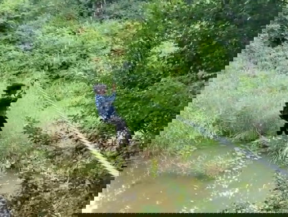 Reporter Camille test de hoogste route van Klimbos Dordrecht!