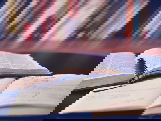 Report Camille: Waarom is een tussenjaar nemen een taboe?