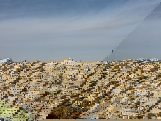 Esther van Plant een Olijfboom vraagt aandacht voor situatie in Palestina!