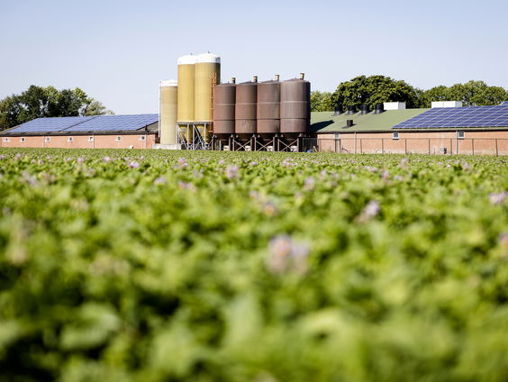Professor Wim de Vries over het stikstofprobleem