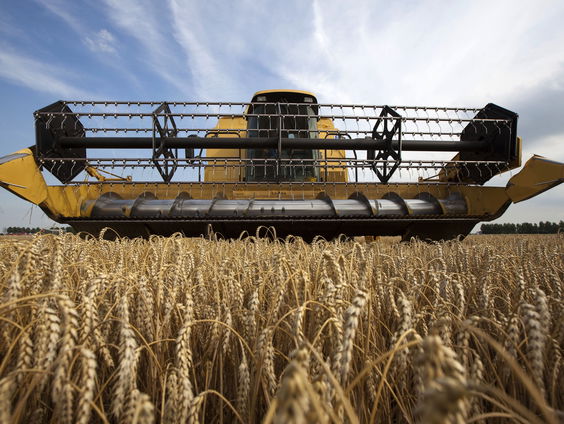 Voedselondernemers halen miljarden binnen tijdens coronapandemie