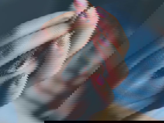 Hongkong ruimt hamsters vanwege coronavirus