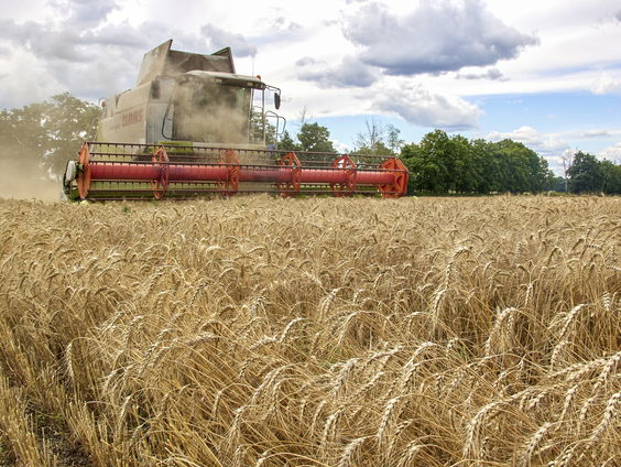 Nog steeds geen oplossing voor exporteren Oekraïens graan