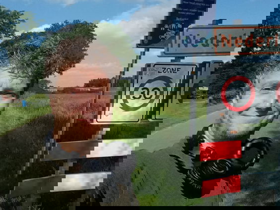 Het zomergevoel in: Nederland