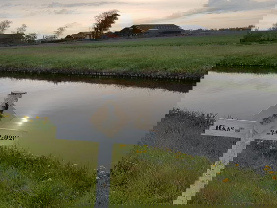 640 kruizen langs de weg voor doodgereden dieren