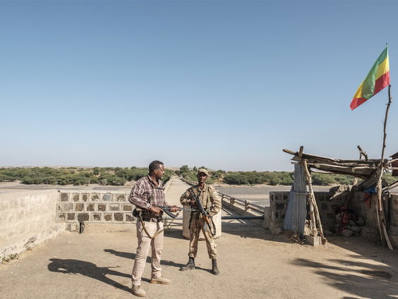 De Eritrese lange arm en de oorlog in Tigray