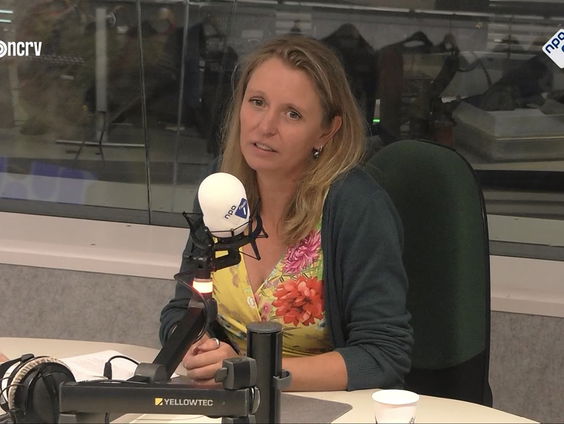 De Taalschatten van De Taalstaat: Hasse Simonsdochter van Thea Beckman