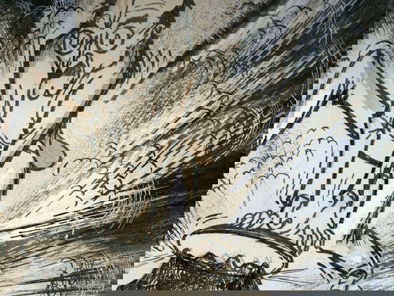 Tentoonstelling: Indonesië getekend