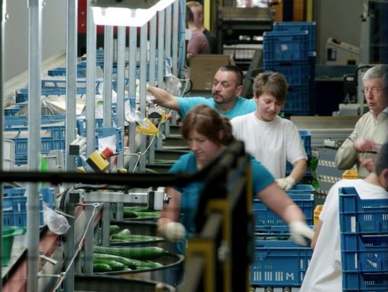 Problematiek Tilburgse arbeidsmigrant exemplarisch voor het hele land