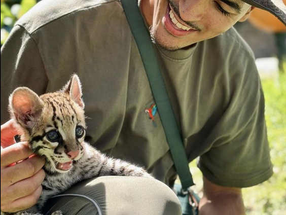 Wildebras met het nieuws uit de natuur