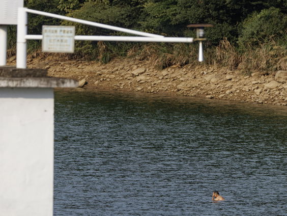 China kampt met tempraturen boven de 40 graden