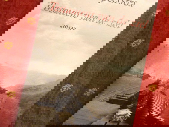 Hylke Speerstra debuteert op zijn 86ste met zijn roman 'Testament van de ziel’