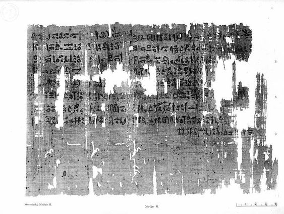 De papyrusrollen van Herculaneum