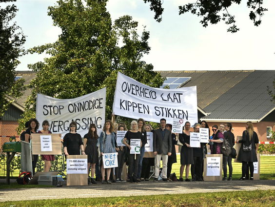 De geschiedenis van dierenactivisme onder de loep met Jeroen Siebelink
