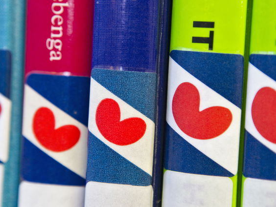 Is het zinvol om Fries aan te bieden in het basisonderwijs?