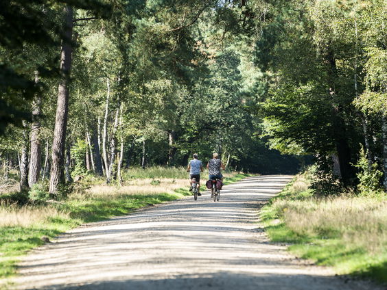 Miljoenen voor wetenschappelijk onderzoek naar stress