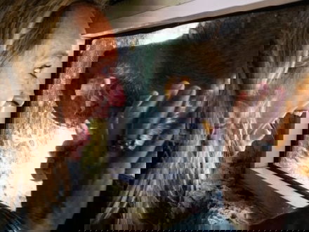 Floortje Dessing en fotograaf Jasper Doest laten beelden over mens en dier spreken