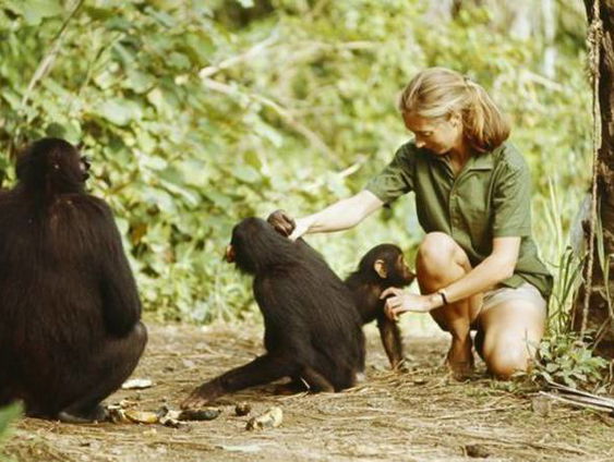 Jane Goodall strijd onvermoeibaar voor een betere wereld
