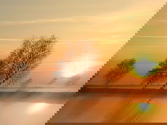 Kraggestaartjesmos in de Weerribben-Wieden