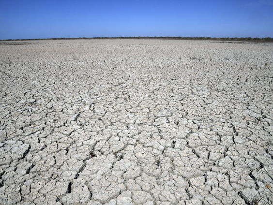 Portugese jongeren klagen 33 landen aan om klimaatverandering