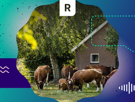 Het Gelderse stikstofdebat: uitbreidende boeren