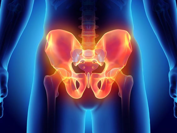 Waarom de mens ooit een staart had en nu - al een tijdje - niet meer