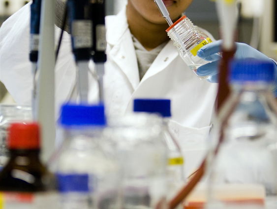 Hoe ontstaat leven? Dat onderzoeken ze nu in Groningen