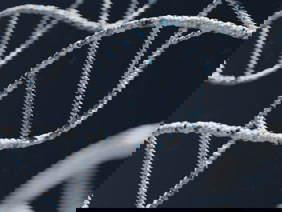 Nieuwe DNA-technieken gebruikt in onderzoeken